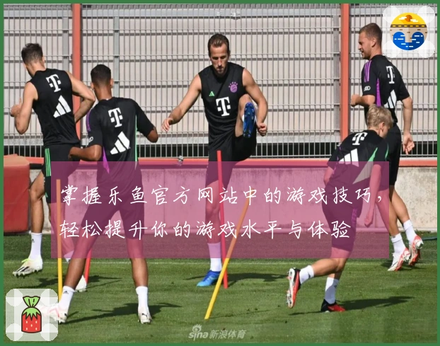 掌握乐鱼官方网站中的游戏技巧，轻松提升你的游戏水平与体验