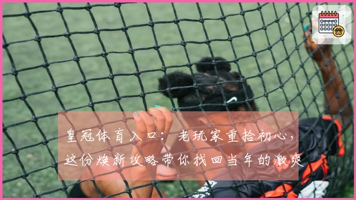 皇冠体育入口：老玩家重拾初心，这份焕新攻略带你找回当年的激爽手感